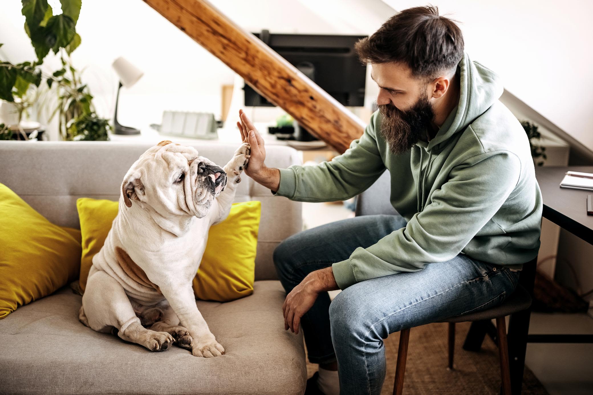 Gaspreis clever senken? So gelingt's easy. Junger Mann und sein Hund geben sich gegenseitig High Five