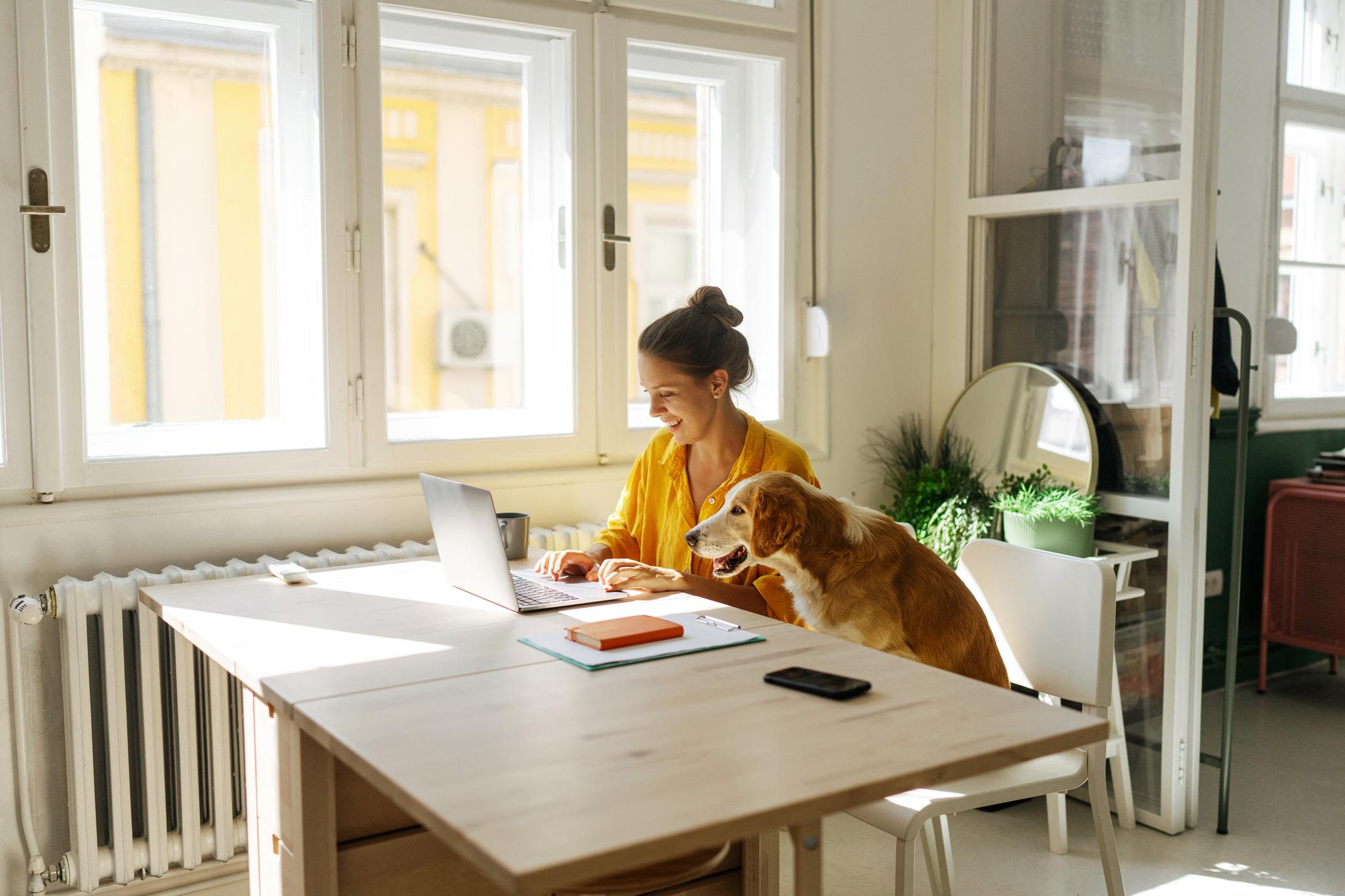 Stromverbrauch im Homeoffice ist gleich mehr Kosten? Frau sitzt mit ihrem Laptop am Tisch, neben ihr sitzt ihr Hunde auf dem Stuhl.