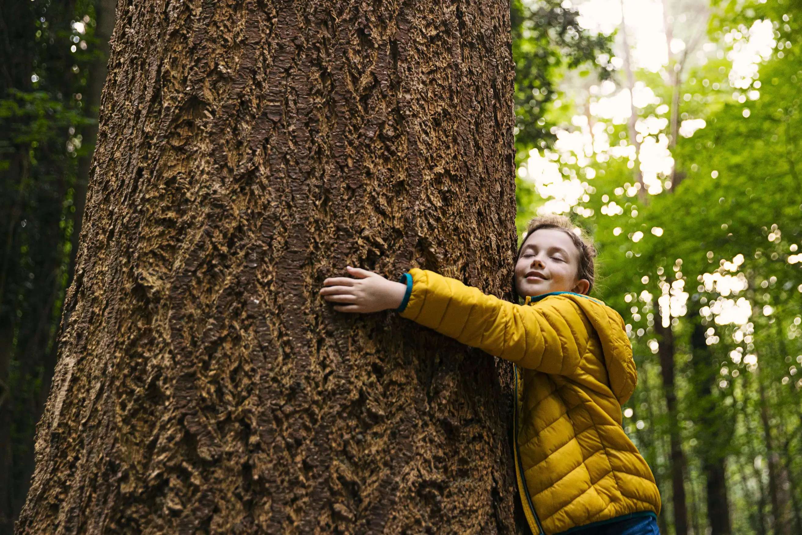 Bei Yello leistest du automatisch eine Klimaschutzbeitrag Ein Kind in gelber Jacke umarmt einen Baum.