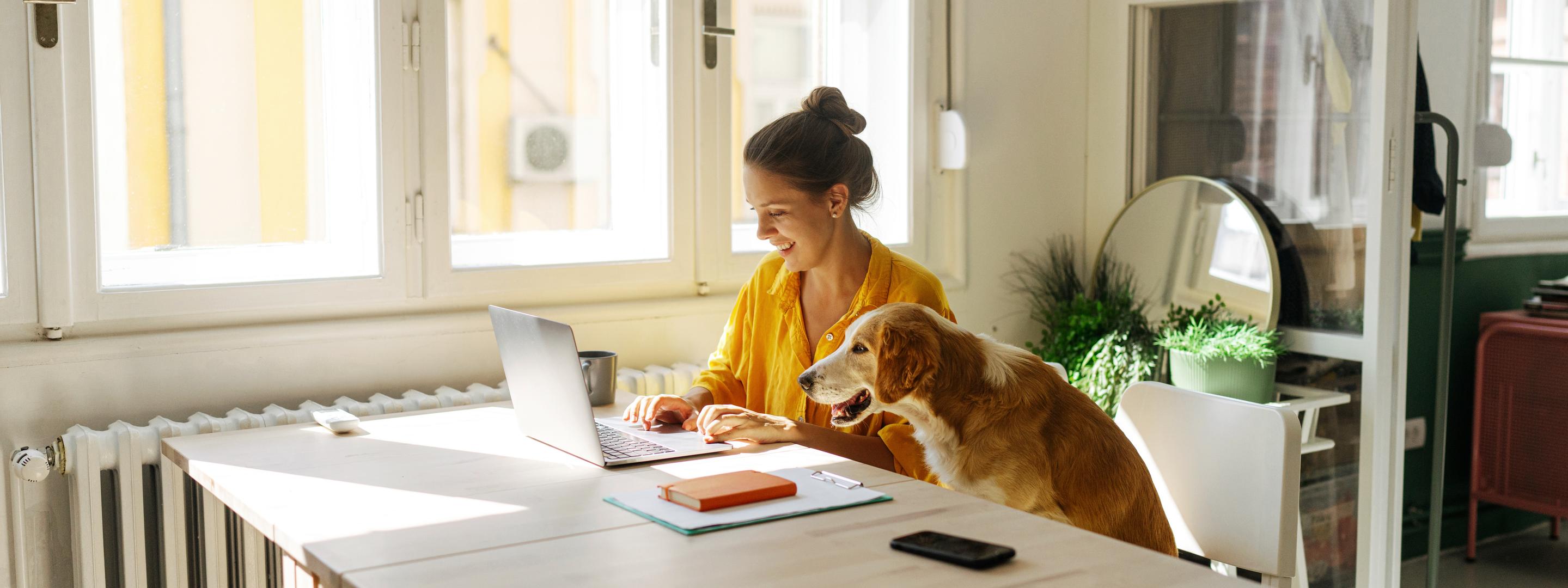 Eine junge Frau arbeitet zuhause am Laptop und denkt über Strompreise nach, ein Hund sitzt neben ihr