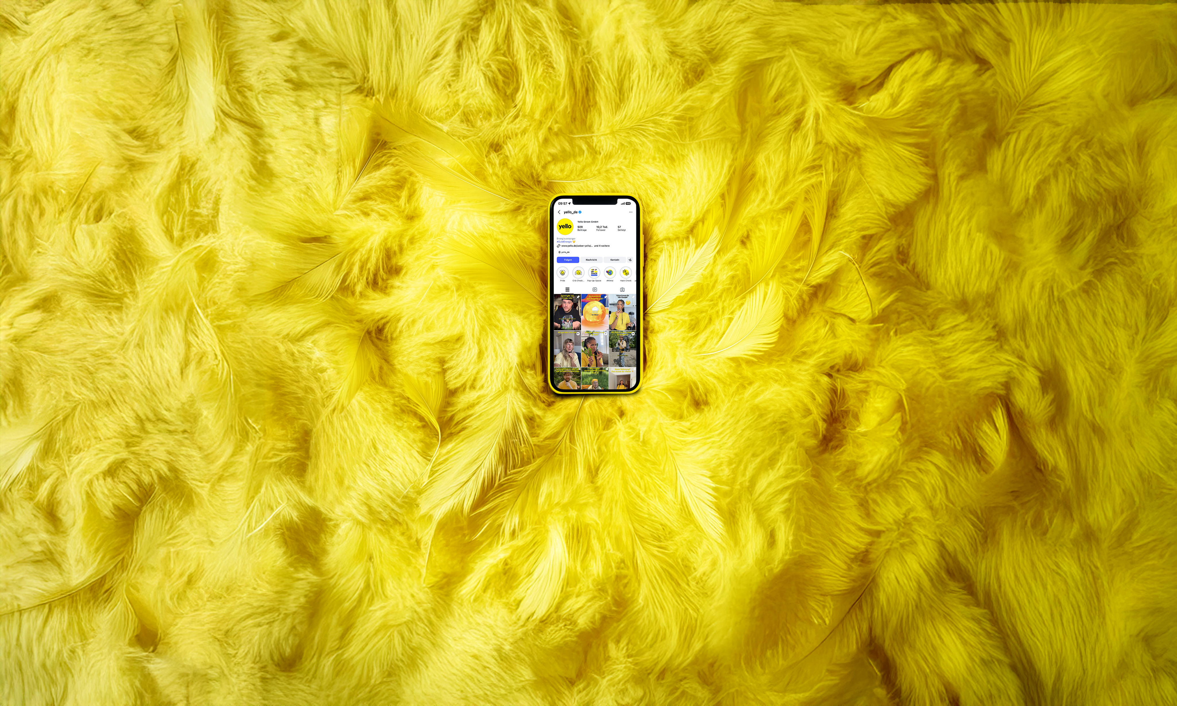 Ein Smartphone mit geöffnetem Yello Instagram Account liegt auf gelben Federn