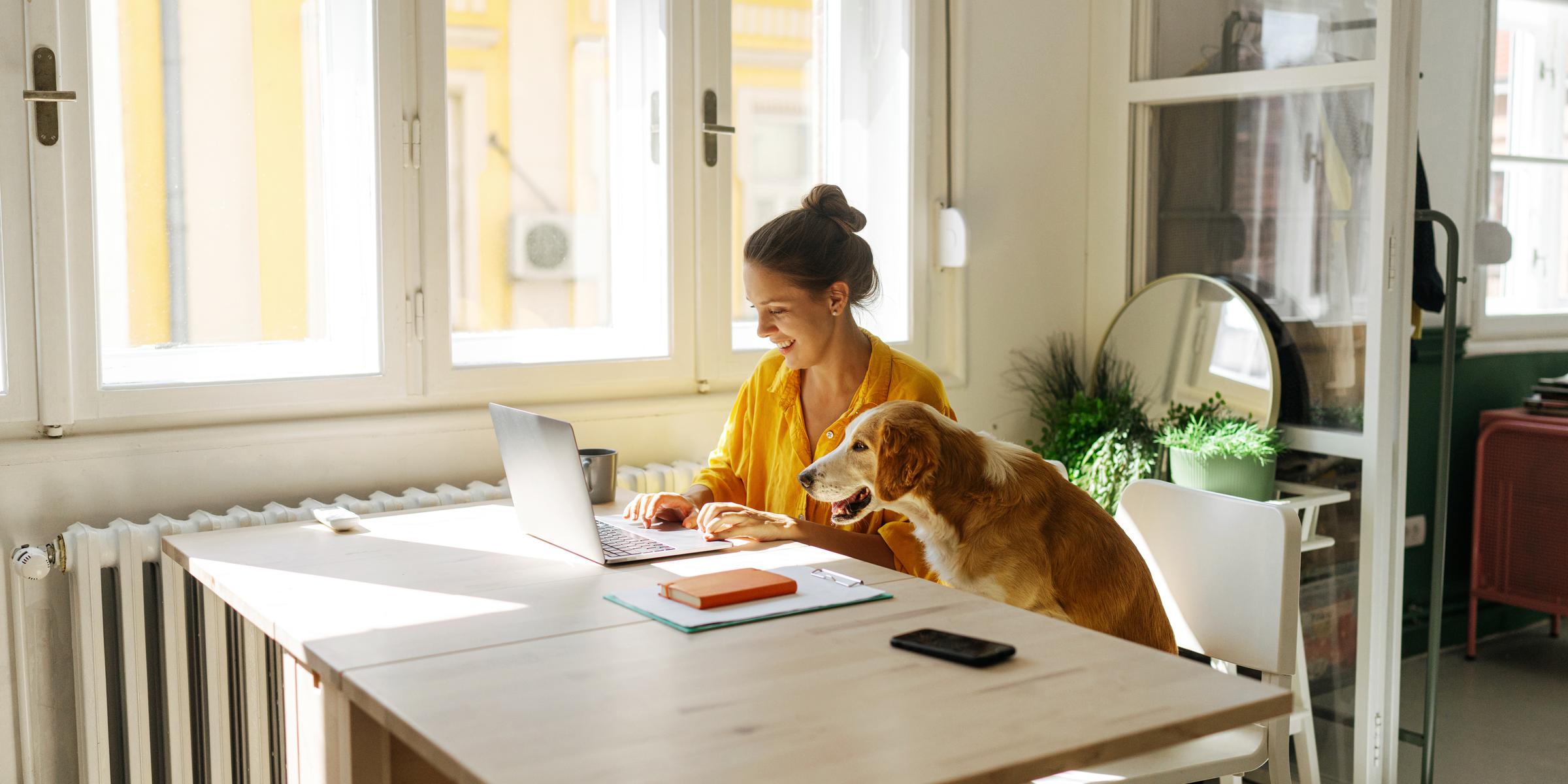 Eine junge Frau arbeitet zuhause am Laptop, denkt über Strompreise nach, Hund sitzt neben ihr