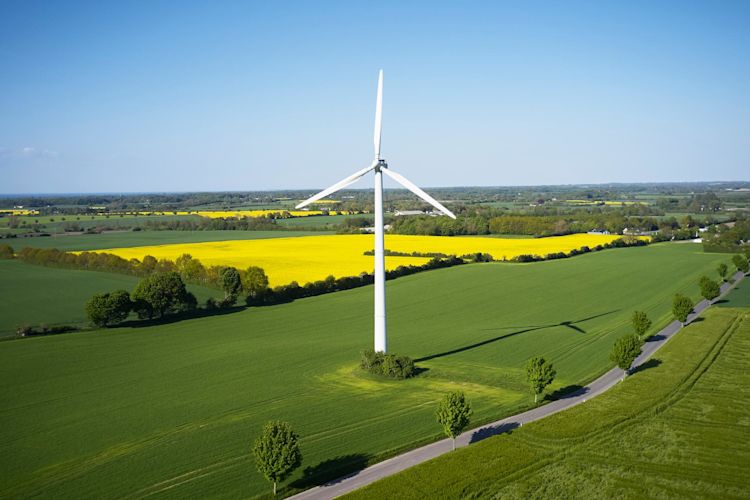 Erneuerbare Energien punkten mit niedrigen Strompreisen Ein Windrad mit Wiesen und einem Rapsfeld im Hintergrund