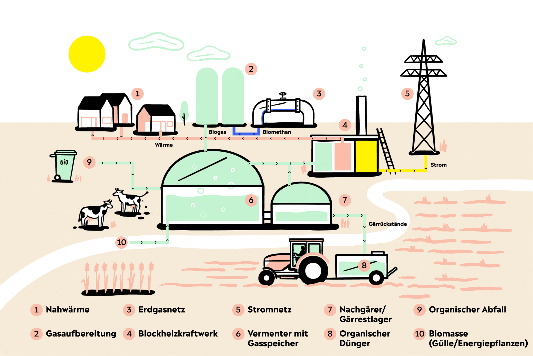 Animation einer Biogasanlage einfach erklärt