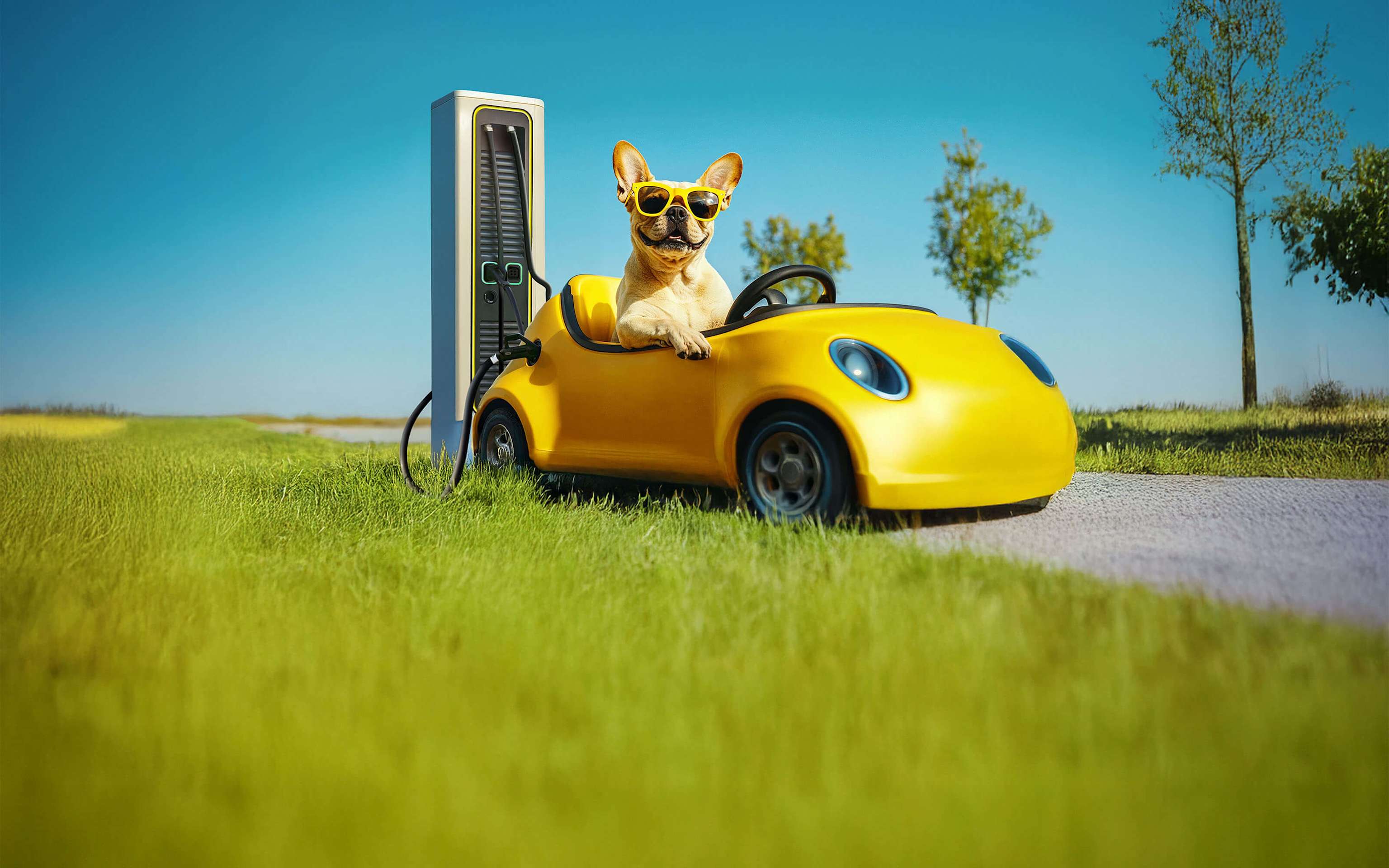 Autostrom Mobile: Strom unterwegs für dein E-Auto Bild von einem French Bully Hund der im Elektroauto sitzt und an Ladesäule lädt - KI-generiert